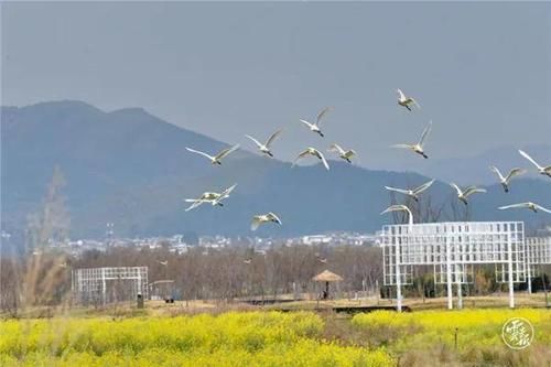 春天，油然而生