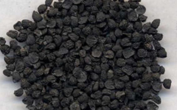 当归|男人的“黄金水”,别不舍得喝,常喝肾脏可能更有活力