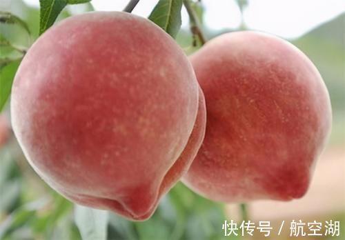 芹菜籽|会吃的人最健康，推荐吃3种食物，健脑益智，改善睡眠，延缓衰老