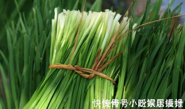 韭菜肉馅|拌韭菜肉馅，不能乱放调料，记住“3不放”，馅料没怪味香味十足