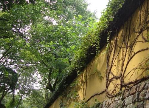 咫尺西天——飞来峰灵隐寺