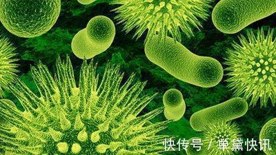 降血脂|经常吃大蒜能够降血脂、防癌抗癌,告诉你,也许没有你想的那么好