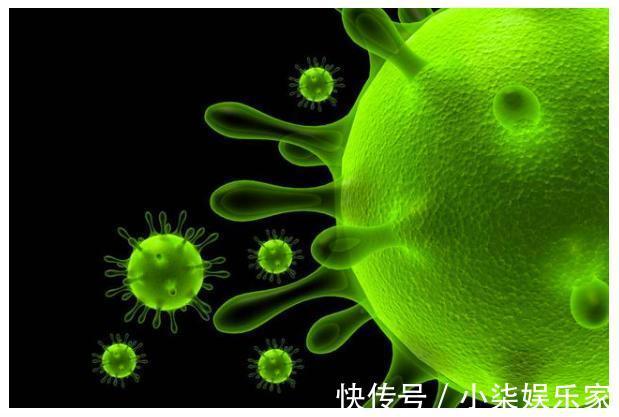 病毒|新型冠状病毒来自艾滋病毒人为改造这消息到底真实不真实