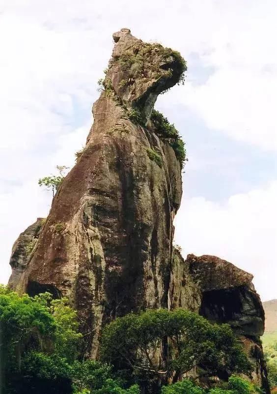 令人拍案叫绝的世界级照片，百年难得一见