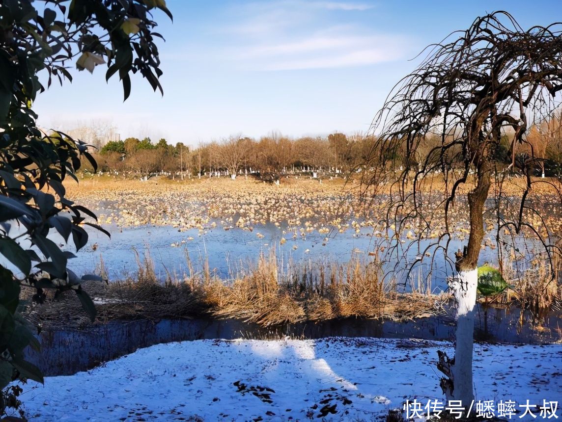 合肥有个优质的风光圣地，登高远眺，错落有致，景色宜人