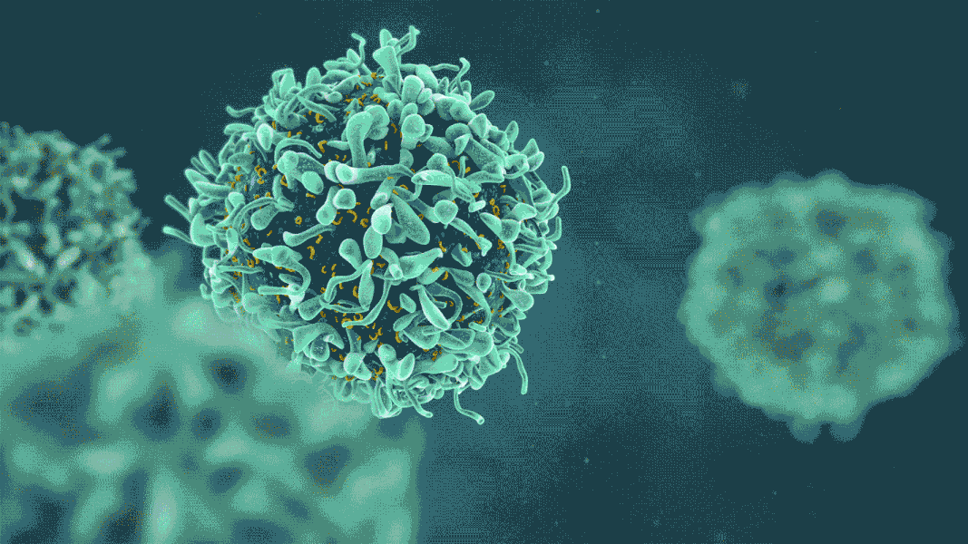 人类|两个月治好癌症，120万的CAR-T会成为人类终结癌症的绝招么？