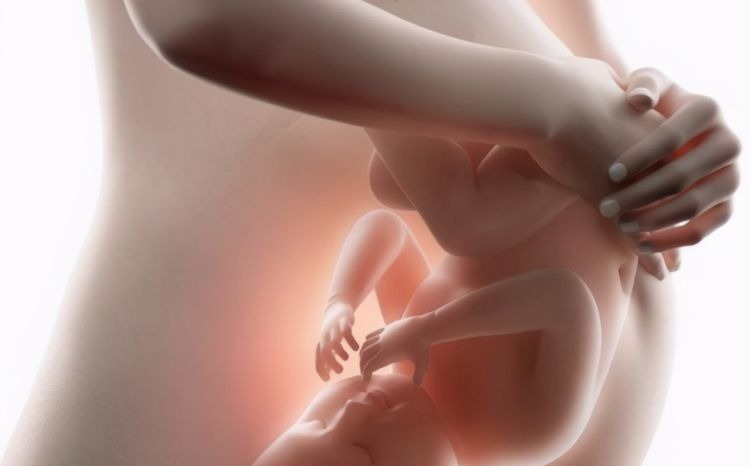 悬垂肚|孕妇“悬垂肚”走红,头回见到这种胎型,护士坦言:对宝妈不好