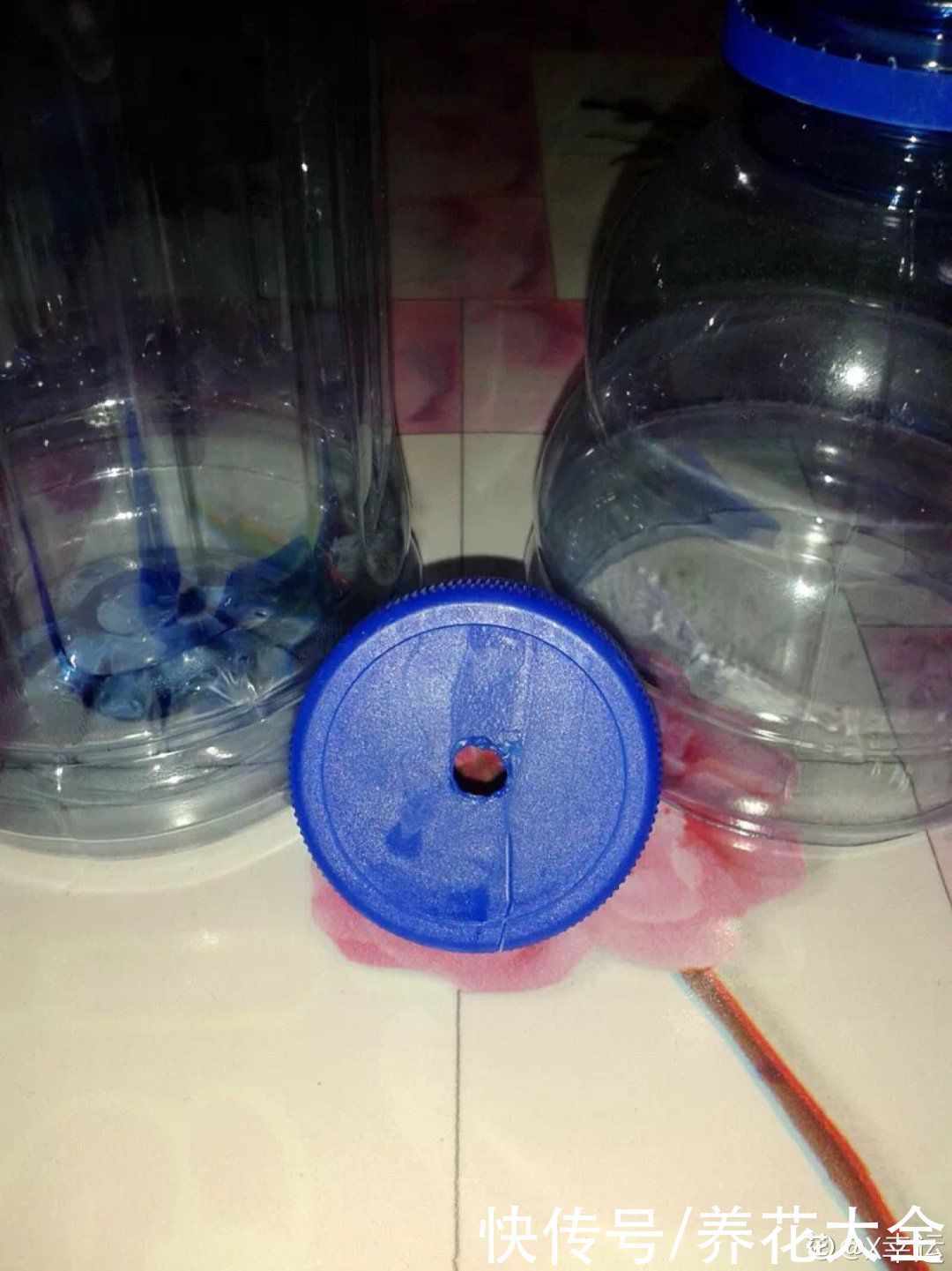 旧筷子、老干妈瓶别扔,拿来养花效果好,省下一笔养花钱