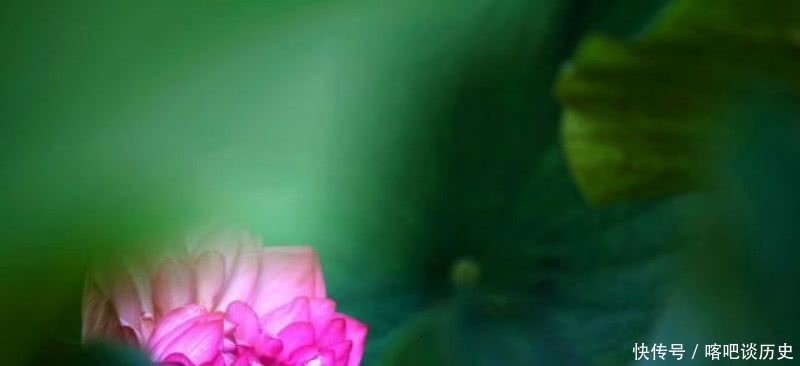 《唐诗三百首》误收录的一首诗,由于写得太好了,一直被人误会!