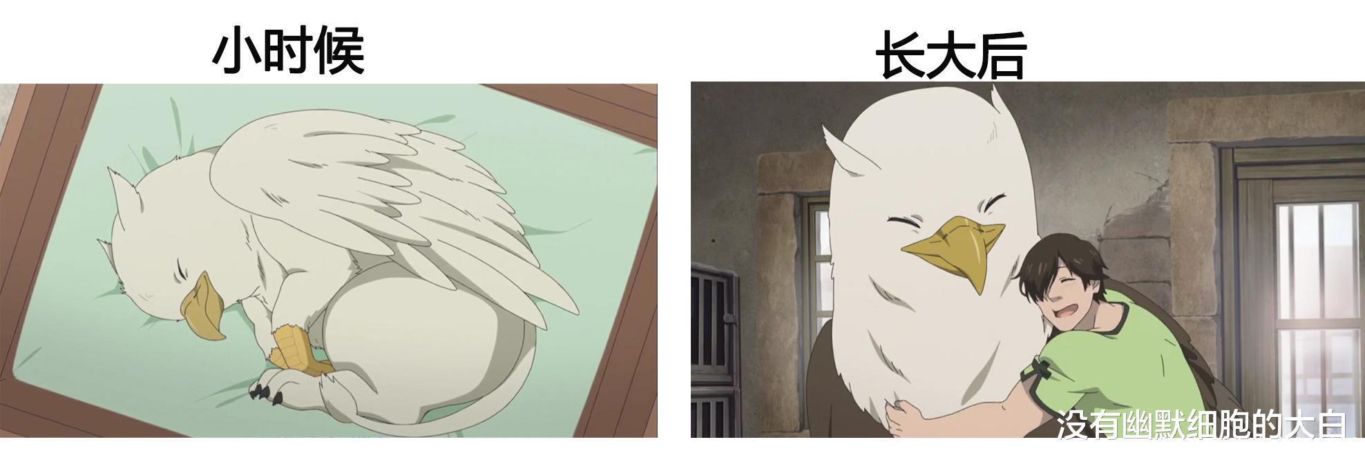 小时候|动漫中那些小时候与长大后截然不同的宠物