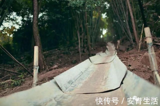 大堰塘|一家四口隐居深山中，三年无经济收入，他们凭什么生存
