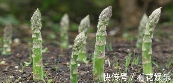 经常喝酒的人，要记住“3不，3吃”，帮你远离“酒精肝”！