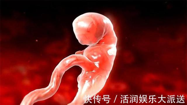 起跑线|原来胎儿聪不聪明,和孕期这3件事有关,做好了他会一生受益