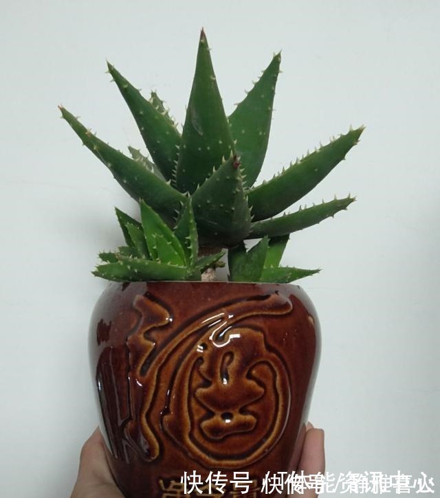 切割机|花盆买不起,自己动手做,好看又实用!花盆买不起,自己动手做,好看又实用!