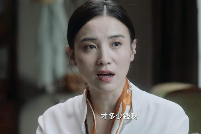 坏人|《小舍得》:中产阶级视角下的保姆是坏人,小镇做题家都靠不住