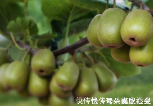 孙医师|爱吃的人最长寿,要多吃3种食物,抗疲劳,延缓衰老,早吃早好!