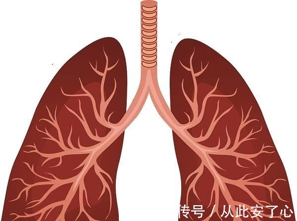 胸片|早期肺癌会发出三种信号, 医生说三类人一定要定期检查肺部!
