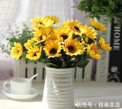 家里万万不要养这几种花,难怪身体越住越差,后悔察觉太晚了