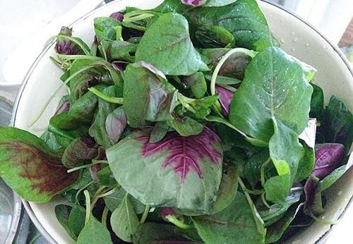 多給孩子吃此菜，補鈣補鐵，健腦增智，提高免疫力