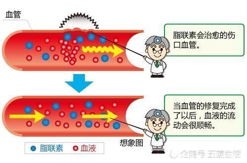 日本名医谈降血糖西红柿加一种调料煮汤喝,美味可口远离高血糖