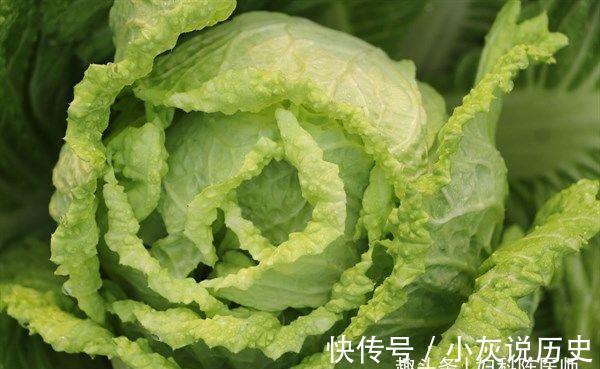 红背菜|女性想要皮肤好，坚持吃三食物，美容抗衰，排毒消脂，营养又瘦身