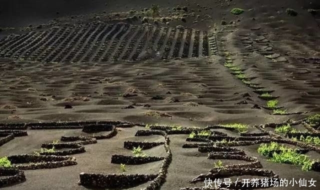 少女|18张图都隐藏着少女,找出6个正常,9个聪明,14个以上天才