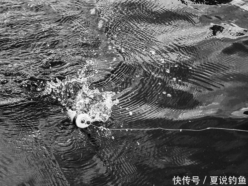 软木|美国用的拨水钓组和中国浮漂钓结合更加好