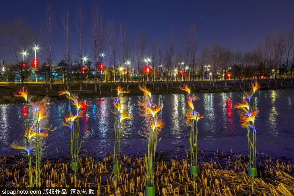 中年|赏花灯闹元宵，北京今夜将迎来浪漫的“星月童话”，游玩攻略看这里！