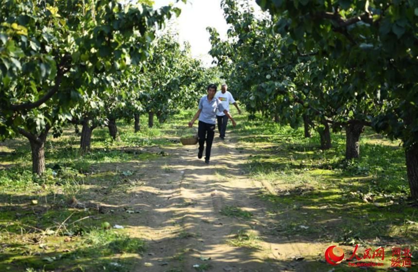 乡村|河北永清：乡村旅游助力乡村振兴