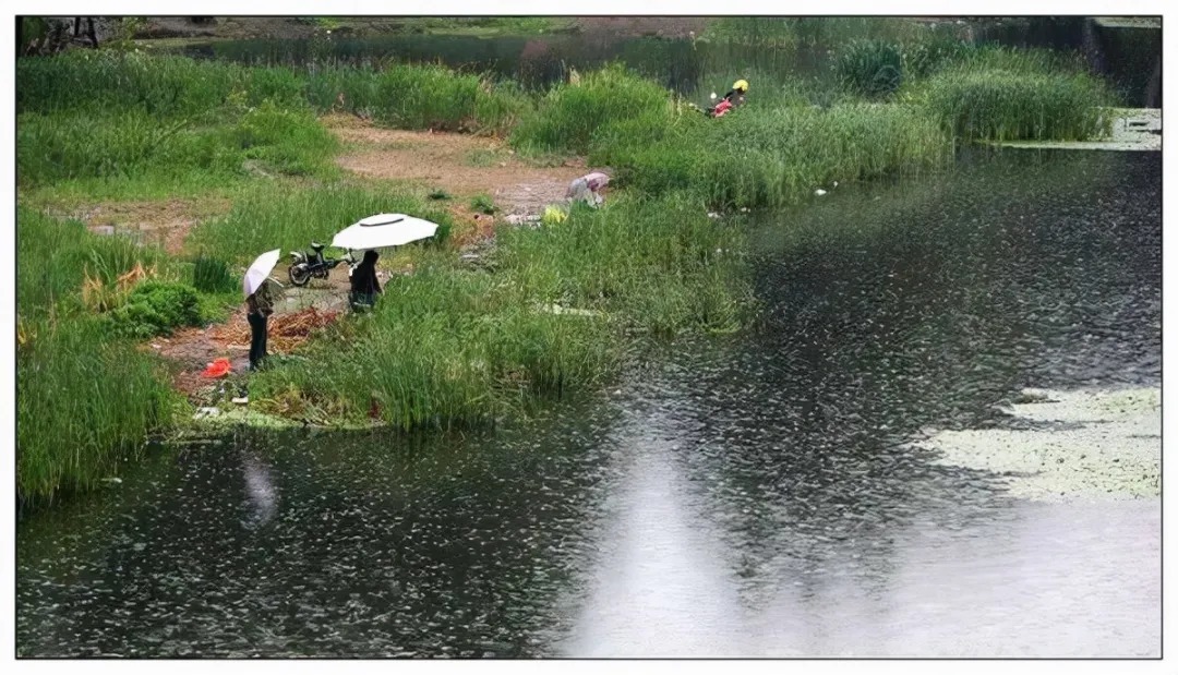 为何秋天下雨没鱼口，搞明白钓深还是钓浅，鱼口一点也不差