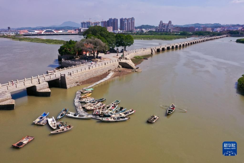 姜克红#探寻文明根脉　筑牢自信根基——致敬中国考古百年求索