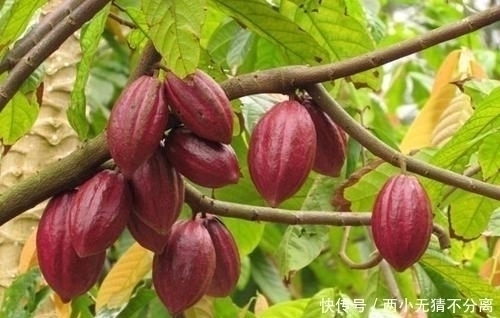 一个月|睡觉之前一定要做四件事,坚持一个月,痘痘黑头全部消失了