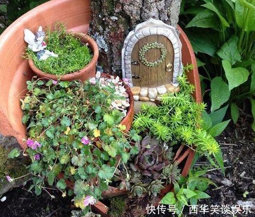 花盆片|养多肉搭配什么样的花盆好?利用''碎花盆''造景,个个与众不同