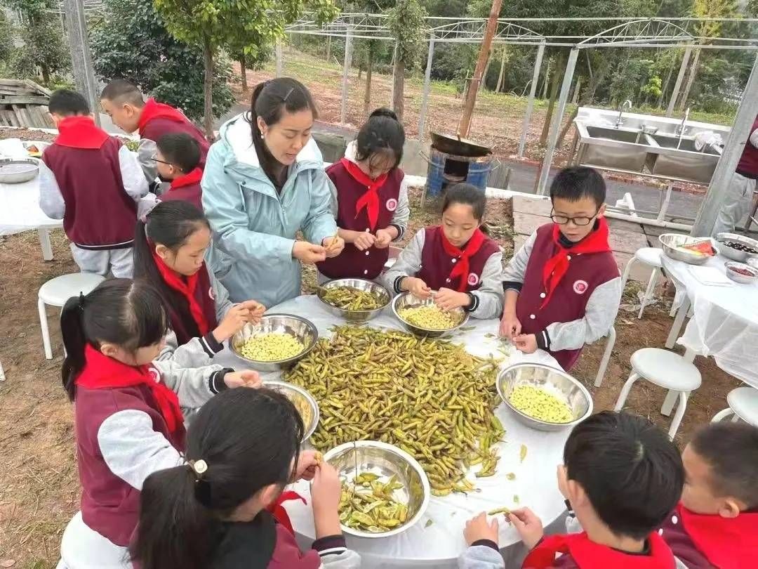 劳动教育|热点聚焦丨劳动教育怎么搞？来看成都交出的答卷