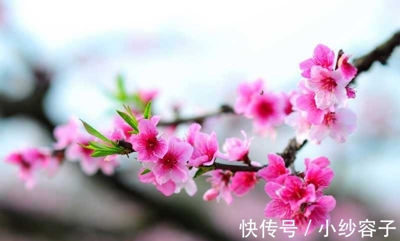 今夜月明!一首凄美的唐诗,道尽了人生苦味,后两句尤其经典