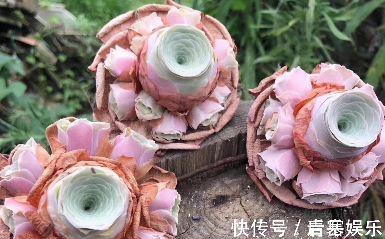 品种|张大哥养肉10多年,总结出4个“耐热品种”,肉迷都喜欢