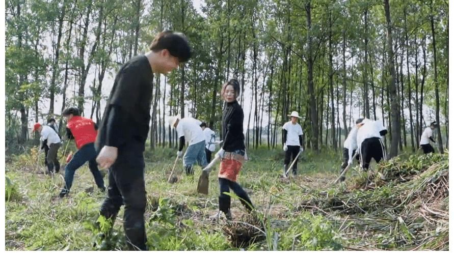 维嘉|下期维嘉带队来向往5,嘉宾吃饭如流水席,预告精彩连追3遍不停