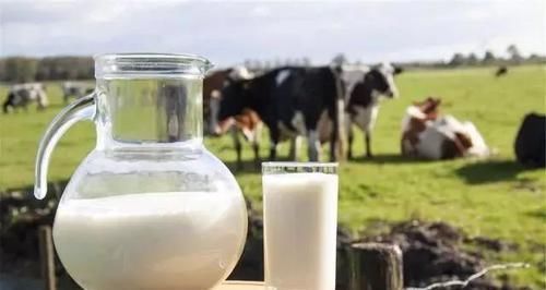 豆浆|年纪大了要补钙,家里多煮这4样食物,强健筋骨,比钙片还管用!