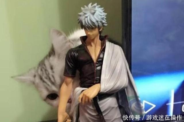 打破|一只猫打破了次元壁,这才是玩手办的新高度