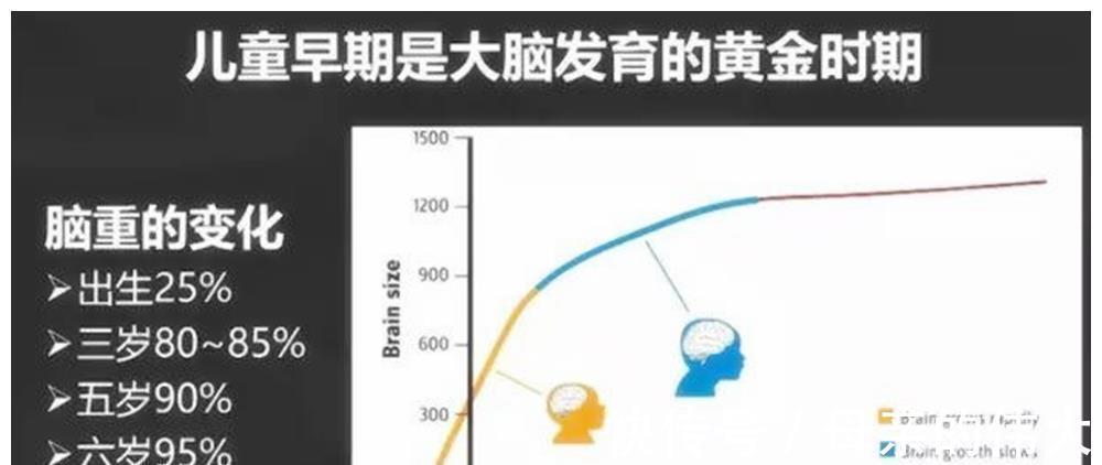 突触|“3岁看大”不是说说而已,3岁之前多接受以下刺激,促进大脑发
