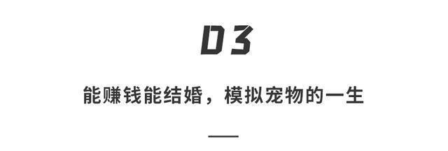 日本|日本能生宠物的钥匙链!9块9的东西卖400,“摇号”才能抢得到