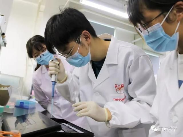 副作用|南开学生团队研发新技术 助癌症患者精准选药