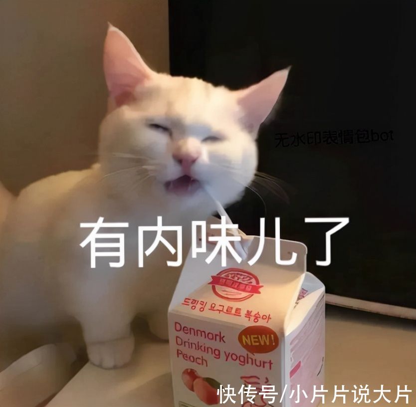 紅了20年的《快樂大本營》，這次是真的「退圈」了