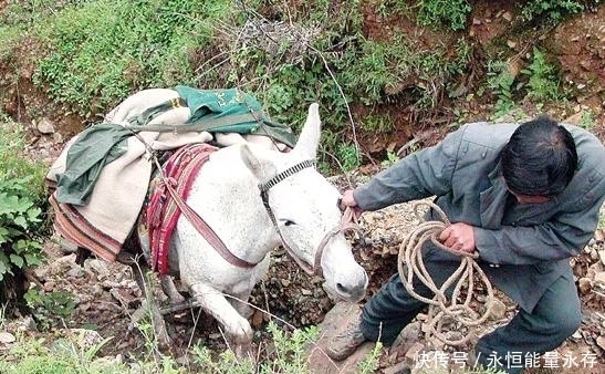 法国专家：中国崛起不可怕，可怕的是你没见过青藏高原上的农村