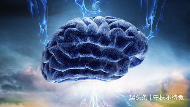 13个冷知识真实存在着,或许也曾知晓过的奇怪知识