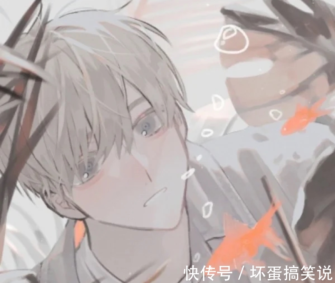 陈澍|校园文《奇迹的碎片》,高冷娇贵X卑微坚韧,互相救赎