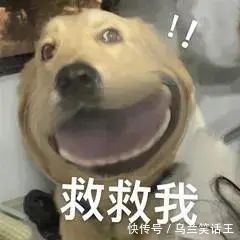 |搞笑表情包|爸爸!