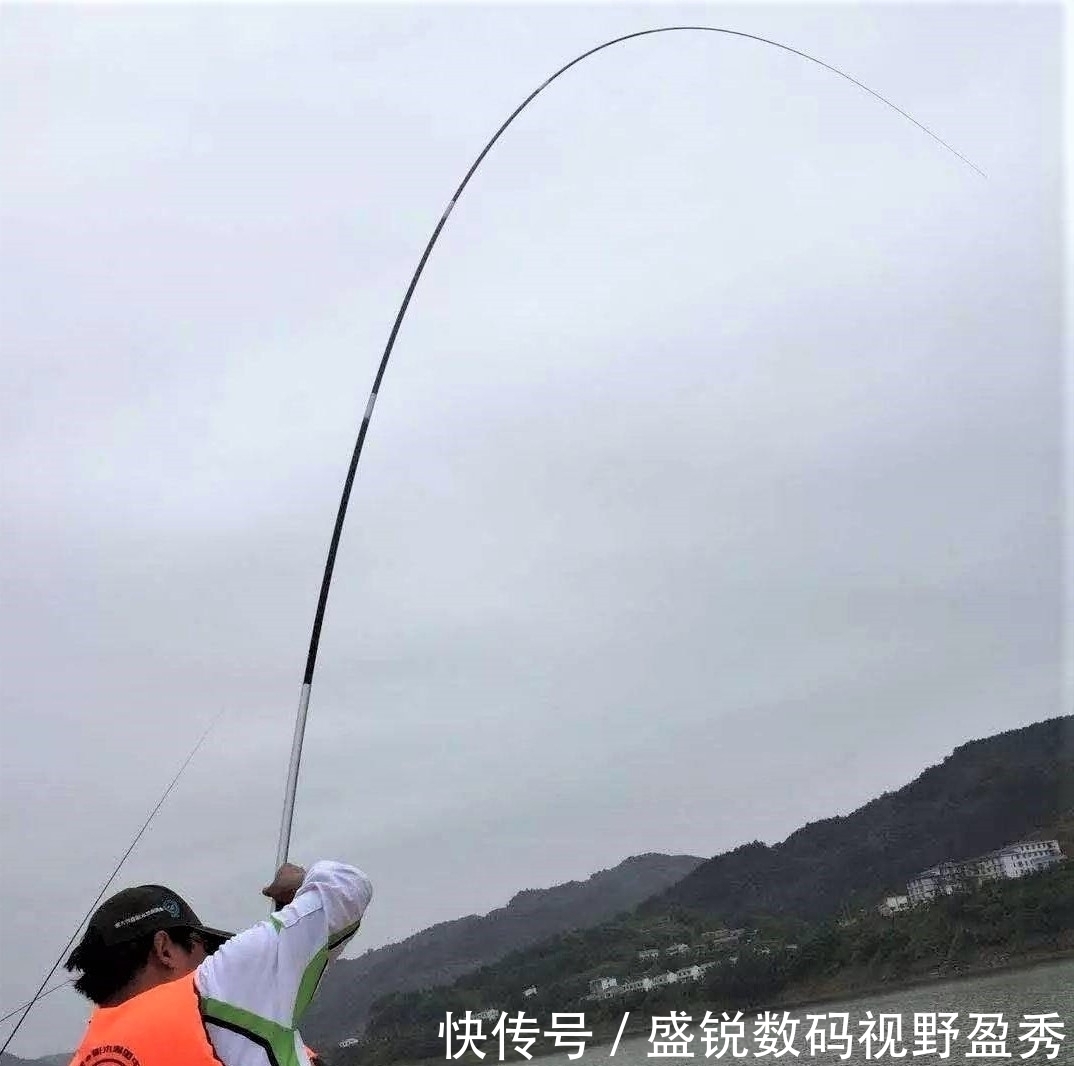 钓鱼精准抓口其实很容易,出现这些漂相,扬竿即中鱼