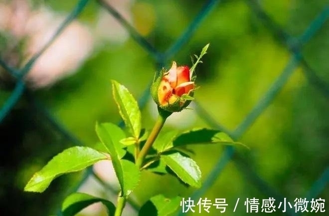 切莫&生活与妙招:18个有趣又聪明的小妙招,摆脱孩子带给你的烦恼