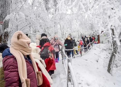 【新闻纪实】津门网李豫龙:峨眉“冬韵”